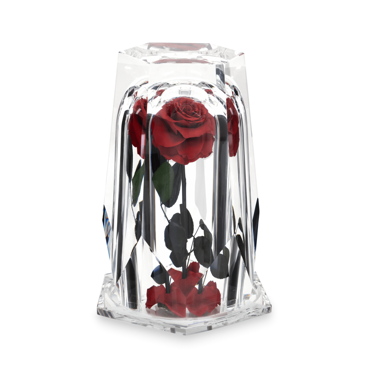 Dia Diamond XL thumbnail 1