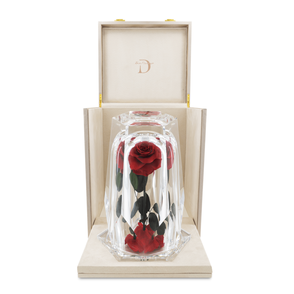 Dia Diamond XL thumbnail 3