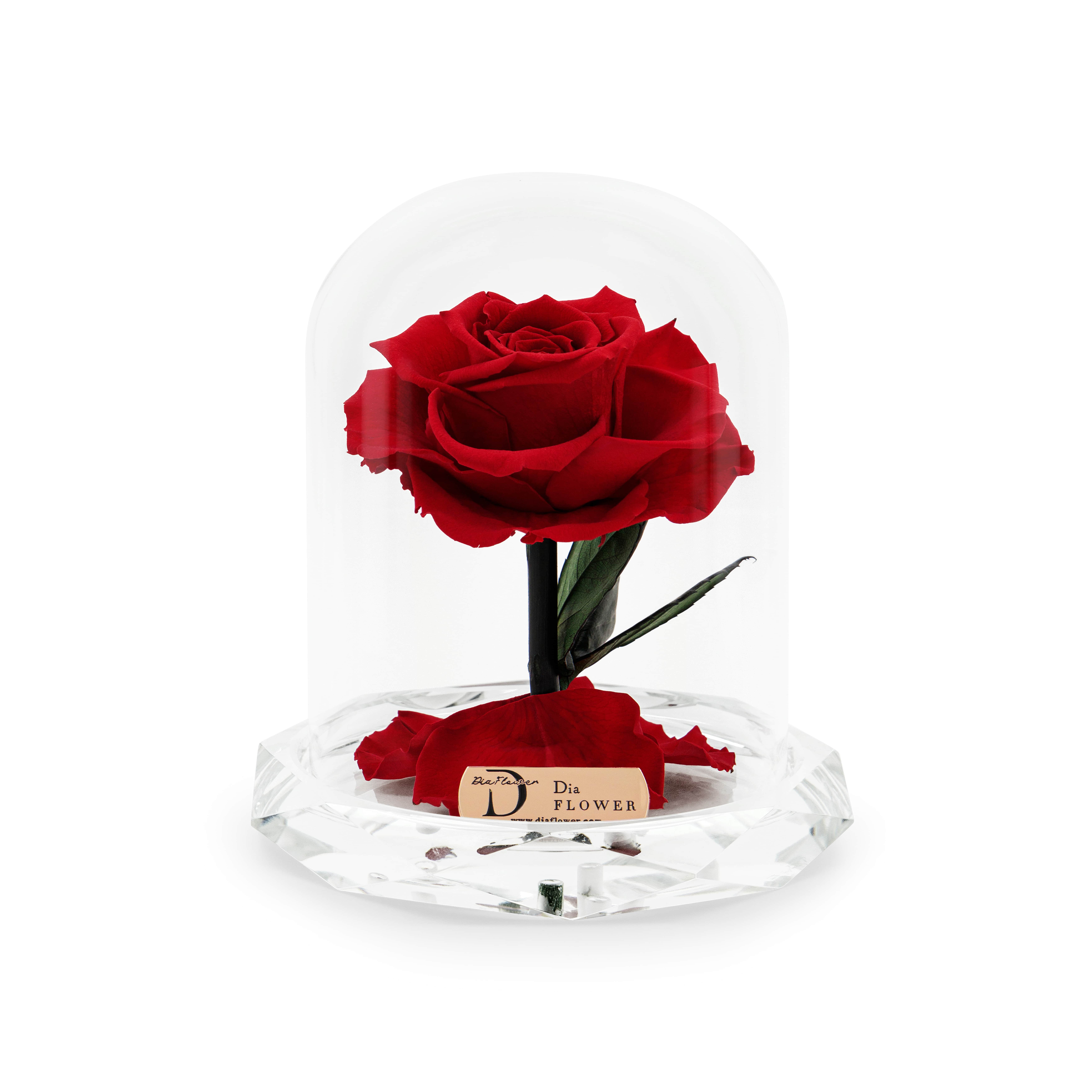 Divine Classic thumbnail 1