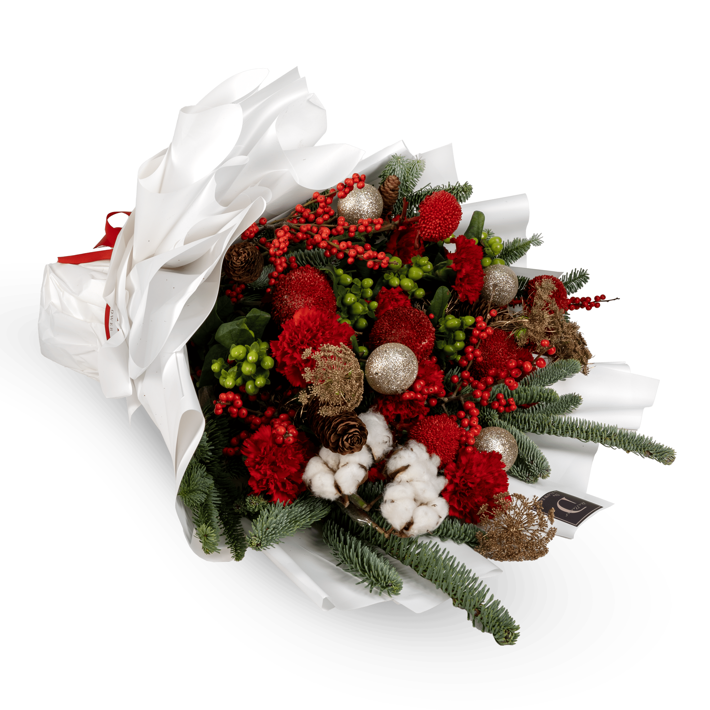 التوت القرمزي thumbnail 3