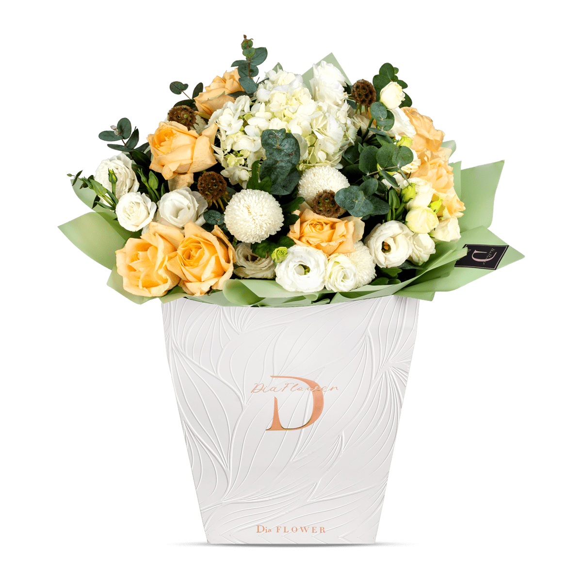 Serene Elegance thumbnail 2