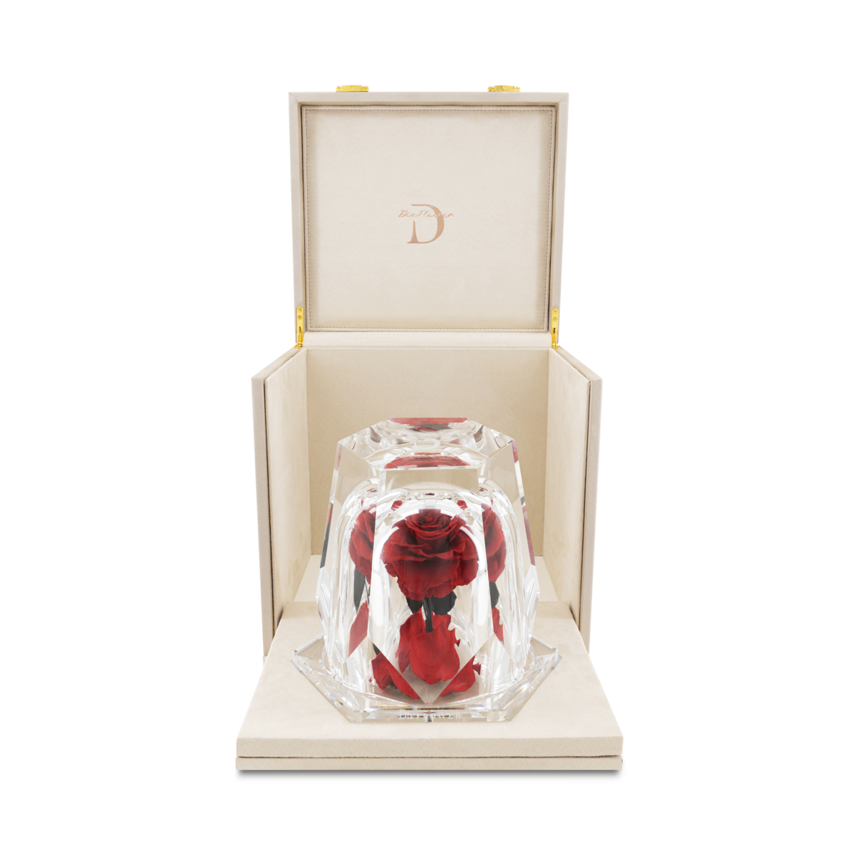 Dia Diamond M thumbnail 3