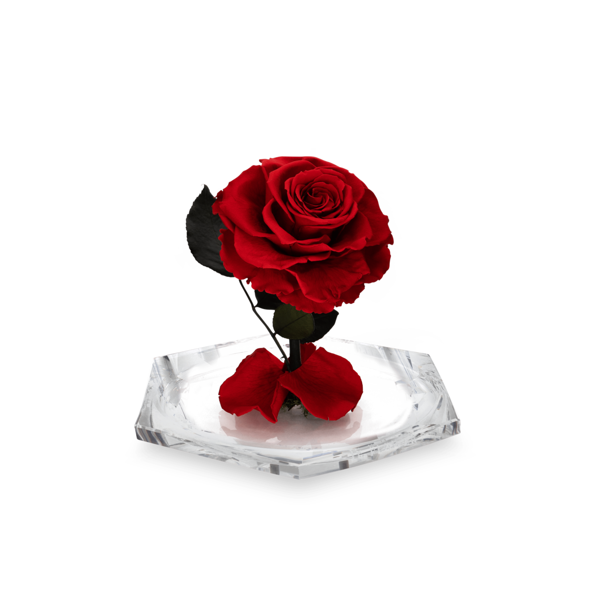 Dia Diamond M thumbnail 2