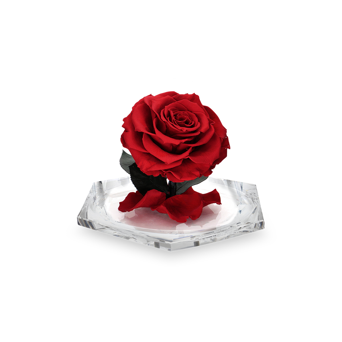 Dia Diamond S thumbnail 2