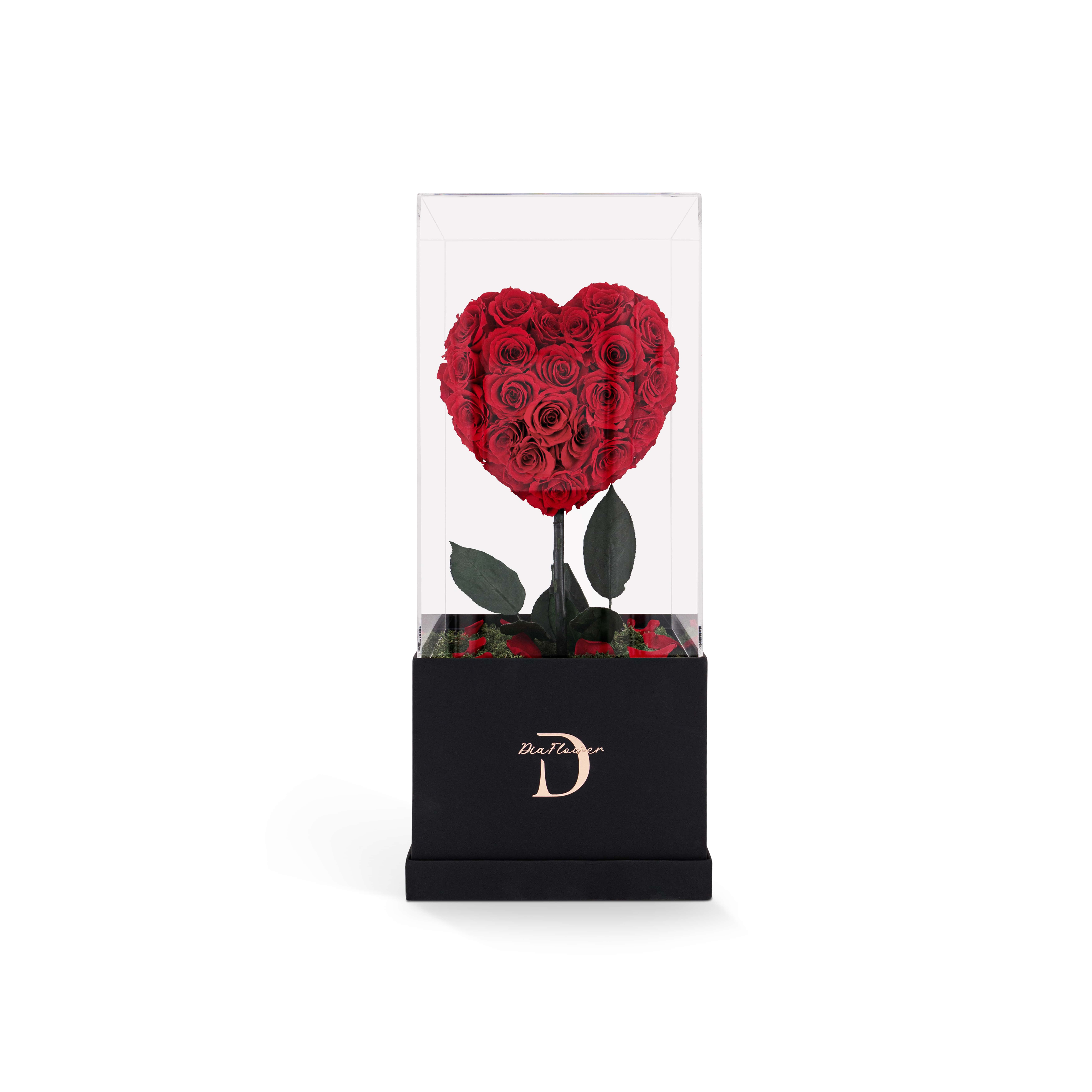  نبض القلب وسط thumbnail 1