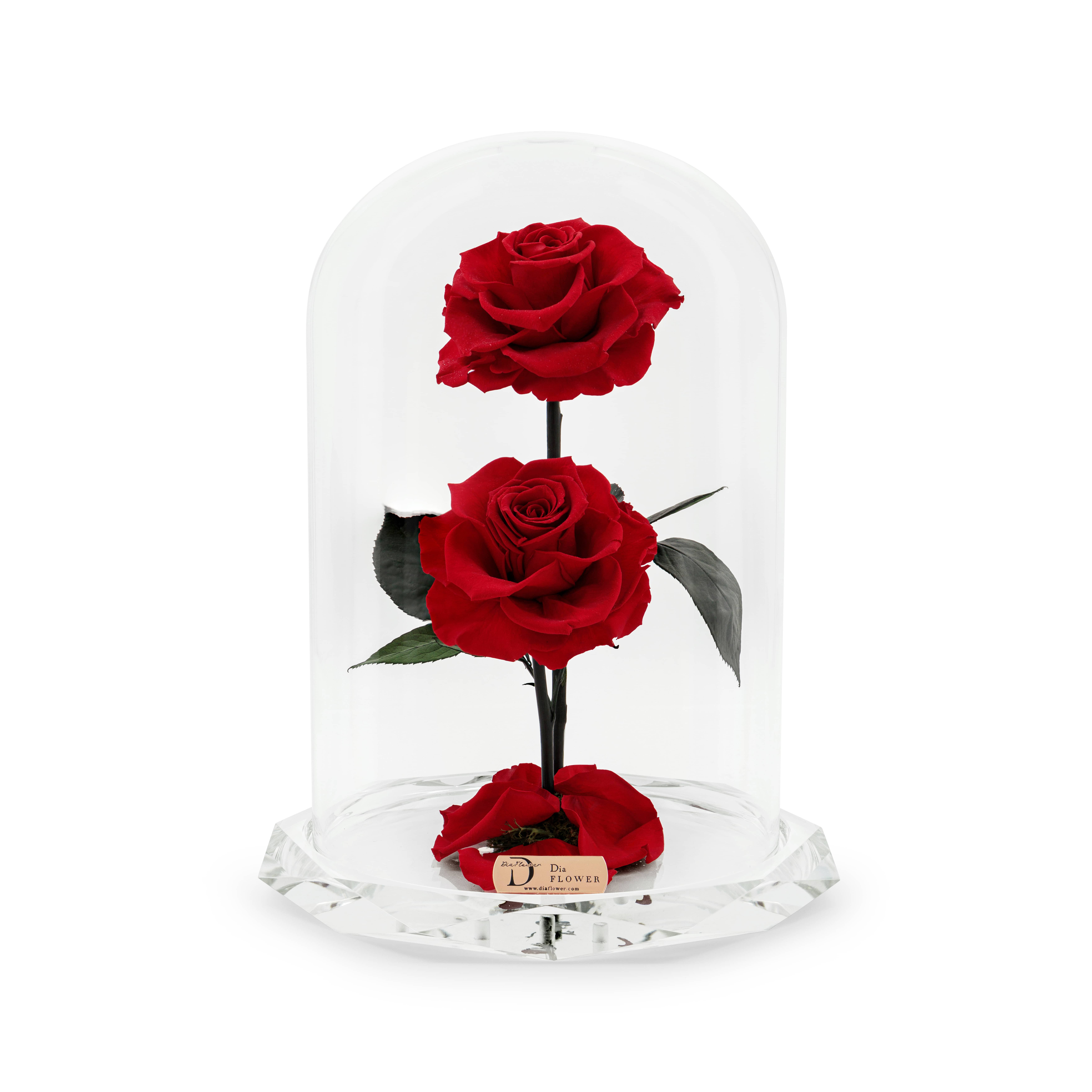 Divine Duality thumbnail 1