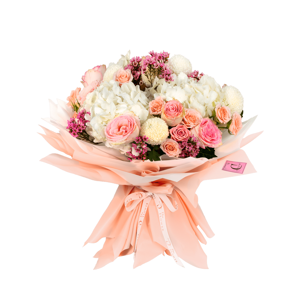 رقي ممكَّن thumbnail 1