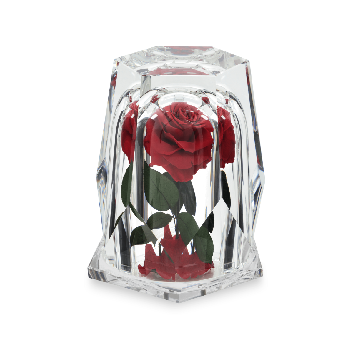 Dia Diamond L thumbnail 1