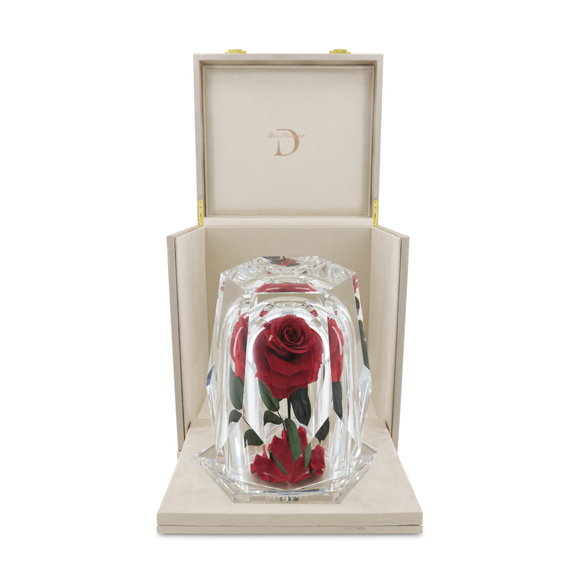 Dia Diamond L thumbnail 3