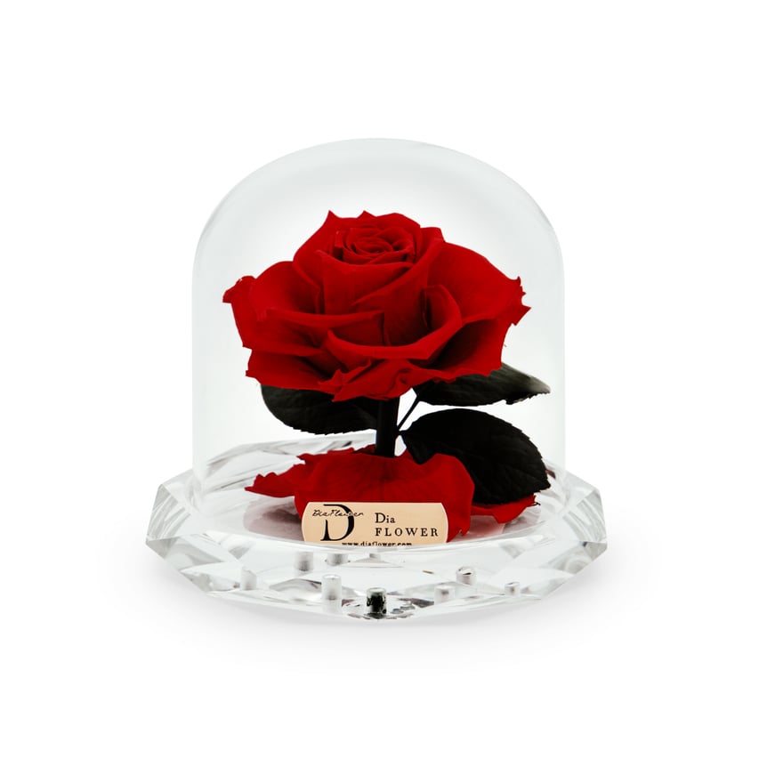 Divine Petite thumbnail 1