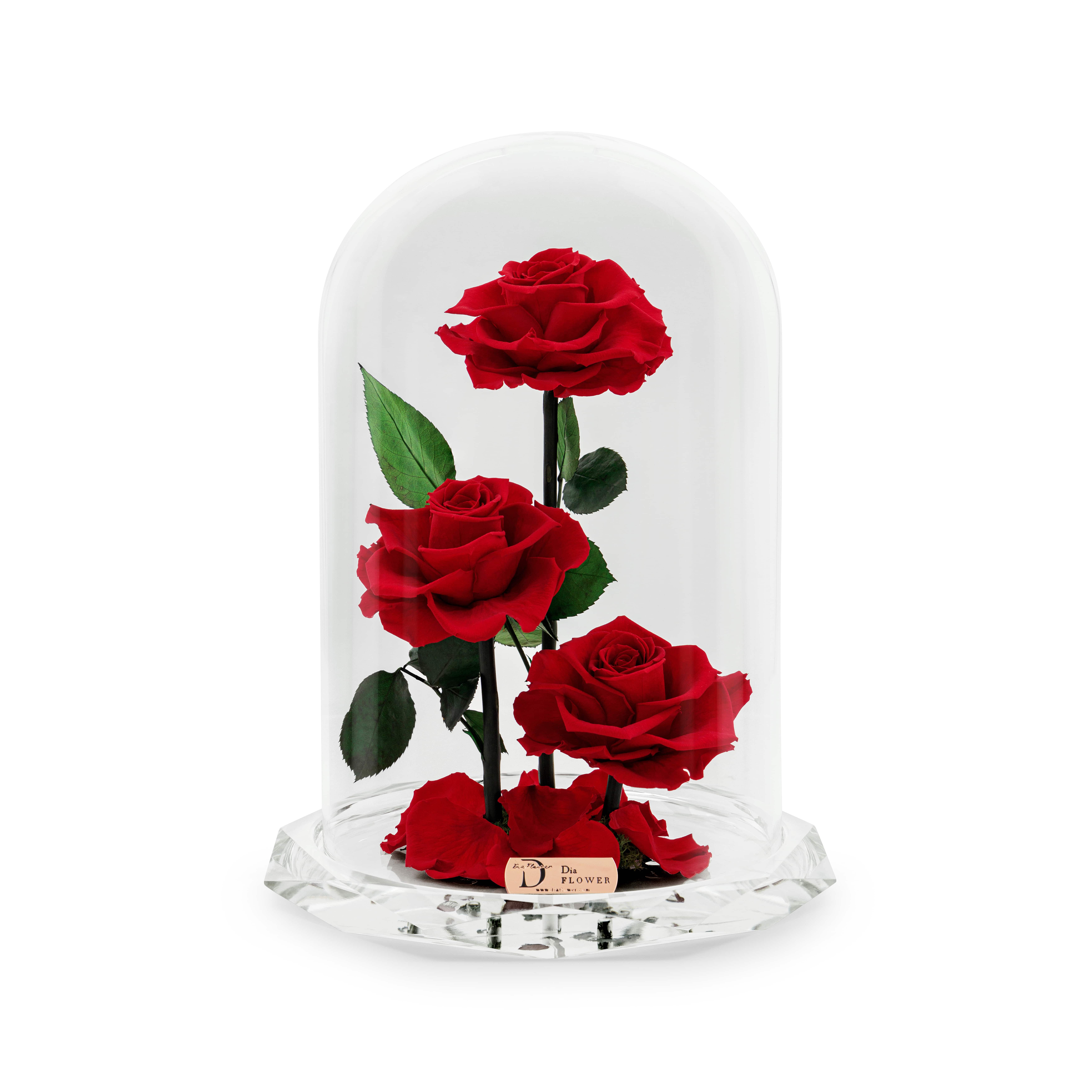 Divine Trinity thumbnail 1